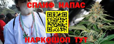 гидра Малоярославец